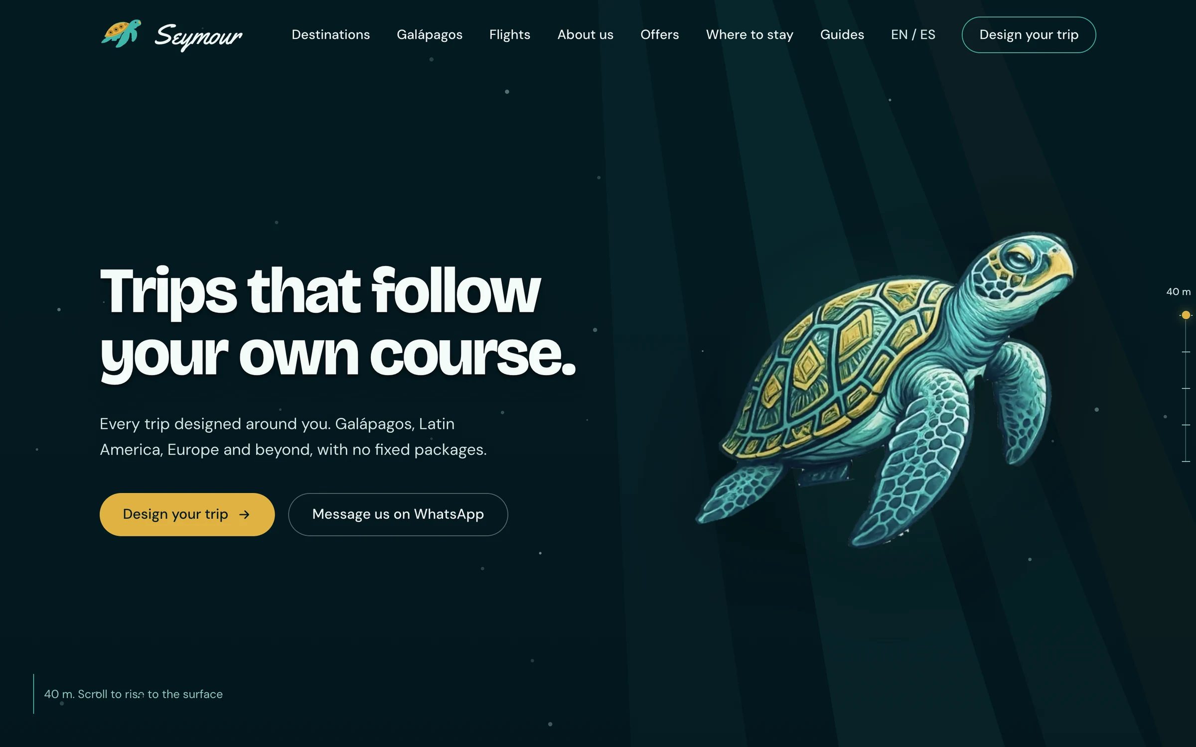 Seymour Travel home page on desktop, in English: the headline "Trips that follow your own course", an illustrated sea turtle and the buttons to design a trip or message on WhatsApp.